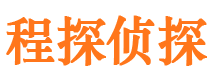 洪湖侦探公司